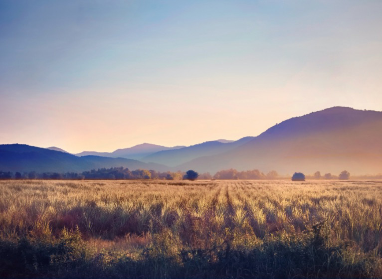 Our passion for the infinite potential of nature