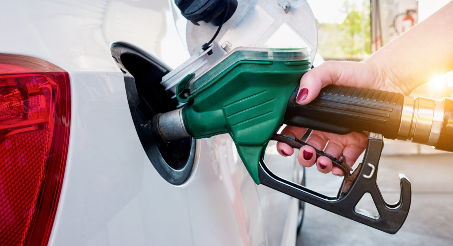 fuel ethanol & renewable chemicals