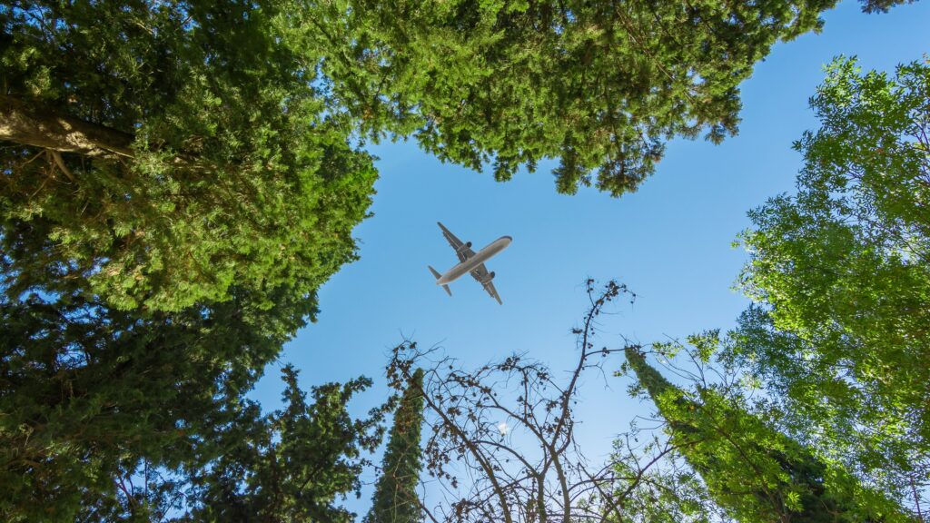 Airplane flying above the forest, bottom view