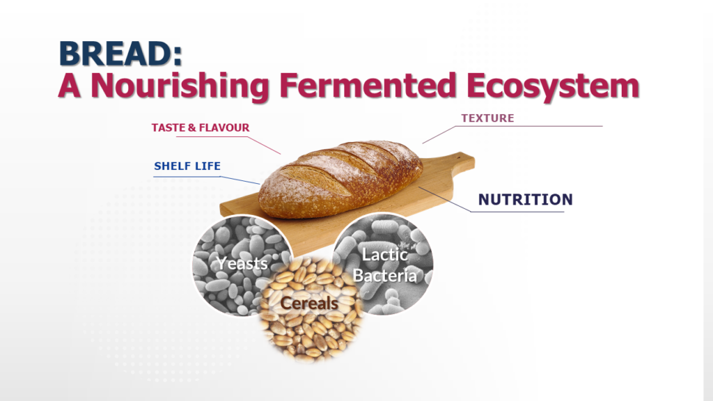 How fermentation can improve the nutritional value of bread?