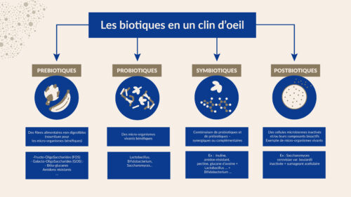 Les biotiques en un clin d'oeil