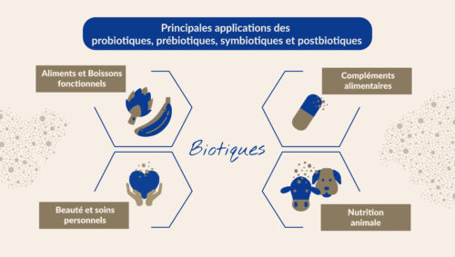 Principales applications des prébiotiques, probiotiques, postbiotiques et symbiotiques