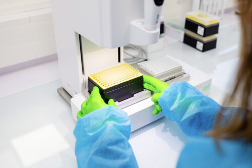 MicroBioGen and Lesaffre establish exclusive global partnership to provide innovative yeast solutions for  the global Baking, Food, and Biochemicals markets