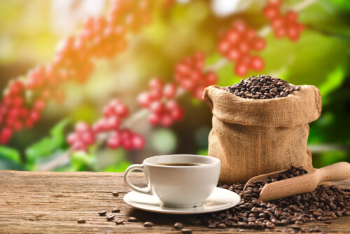 Quel est le meilleur café ?