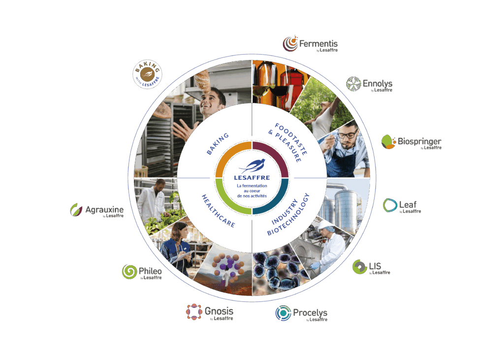 Our activities wheel